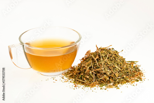 Medicinal epazote hot tea - Dysphania ambrosioides photo