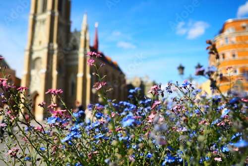 Freedom Square Novi Sad Serbia April 30 2022 People walk along the street. Pink and blue forget-me-not flowers grow in a flower bed. The Name of Mary Church, Roman Catholic parish church in Novi Sad photo