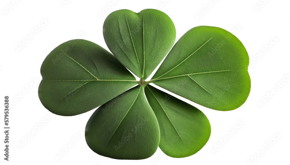 isolated four leaf green clover, png, transparent background, spring, summer, St. Patrick's Day, St. Paddy's Day, vertical, horizontal, close up, leaves, Generative AI isolated four leaf green clover, png, transparent background, spring, summer, St. Patrick's Day, St. Paddy's Day, vertical, horizontal, close up, leaves, Generative AI