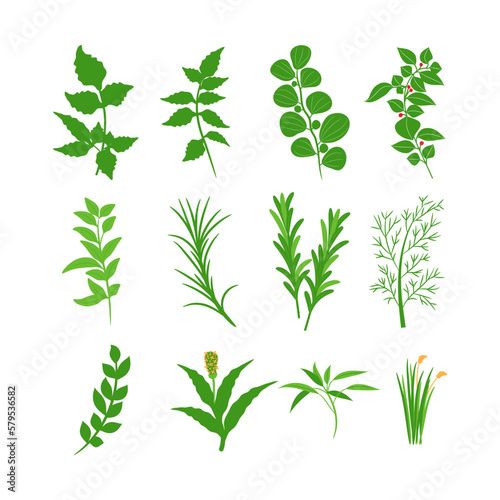 Herbal Health Green plant vector collection