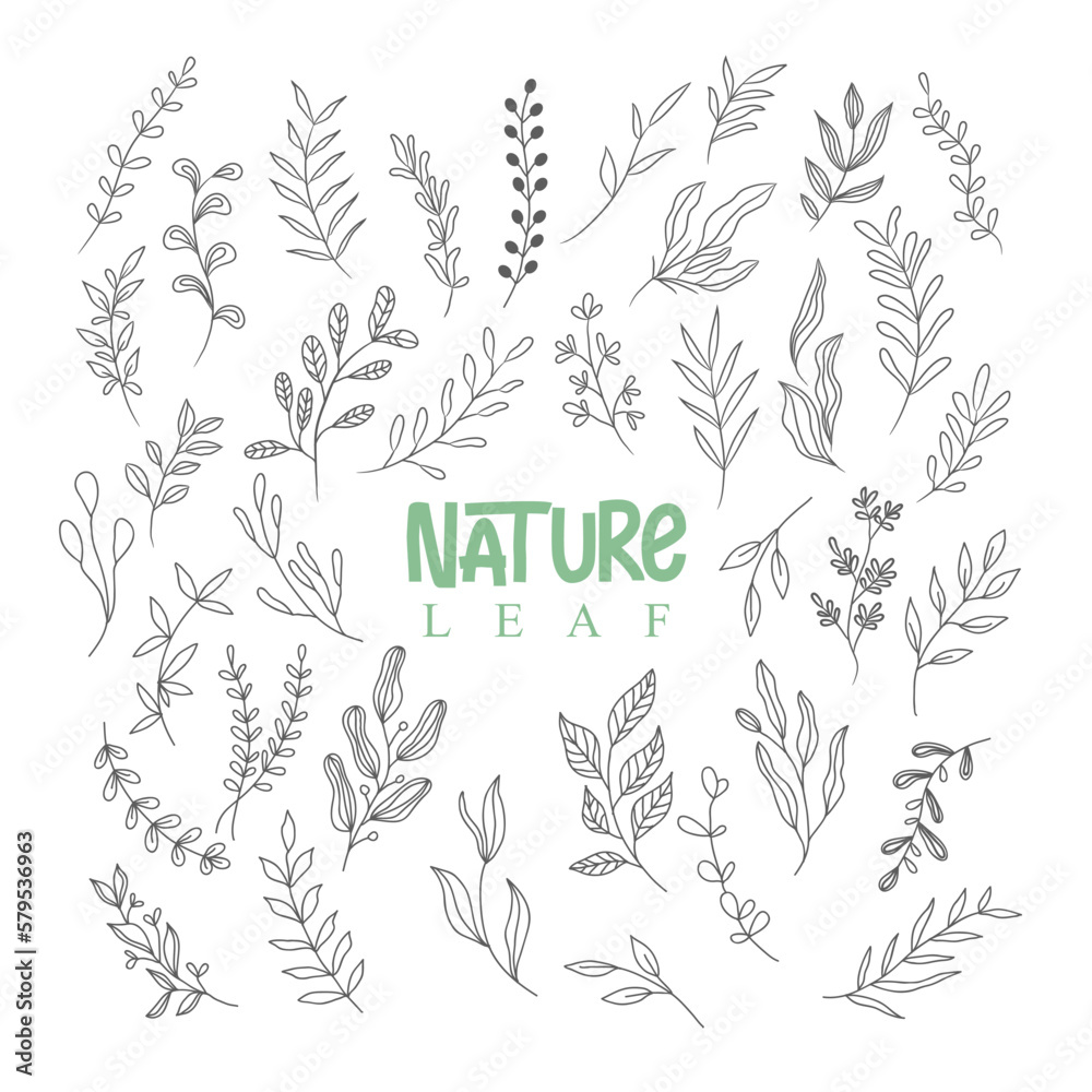 nature leaf drawing line art