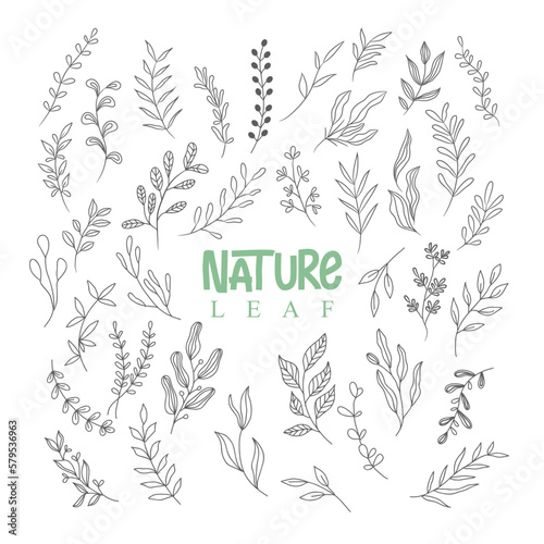 nature leaf drawing line art