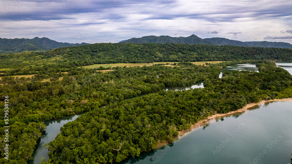 Jungle and Mountains