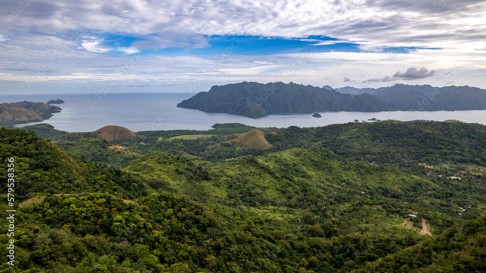 Jungle and Mountains