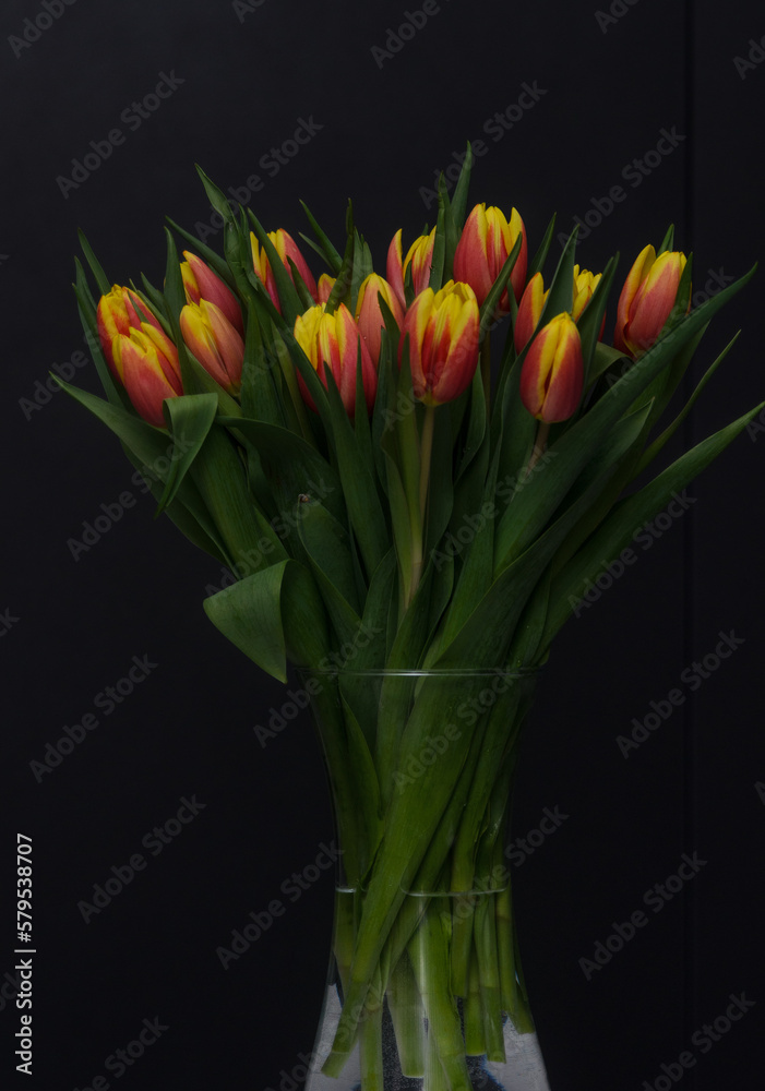 bouquet of red-yellow tulips on a dark background2 bouquet of red-yellow tulips on a dark background2