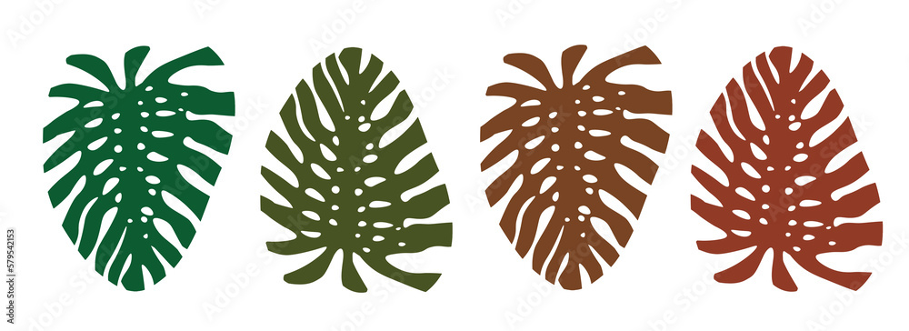 Set of four colored leaves of Adam's Rib. Simples monstera leaves ...