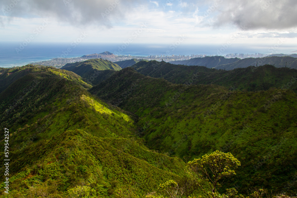 Views of Oahu and Honolulu from up in the cloudy mountains on the wiliwilinui ridge trail.