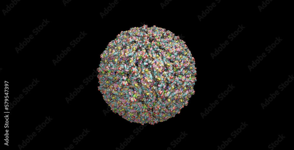 Dengue virus 2 viral particle 3D molecule 4K (60 degrees view) Dengue virus 2 viral particle 3D molecule 4K (60 degrees view)