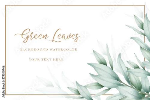 elegant eucalyptus leaves background design 