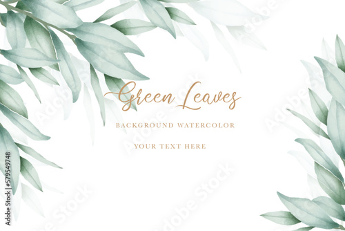 elegant eucalyptus leaves background design 