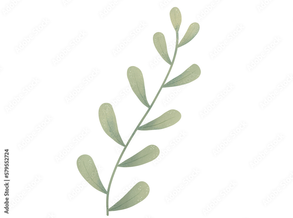 Fresh green leaves stem illustration  
