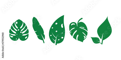 tropical leaves collection, nature leaves, green leaves on white background