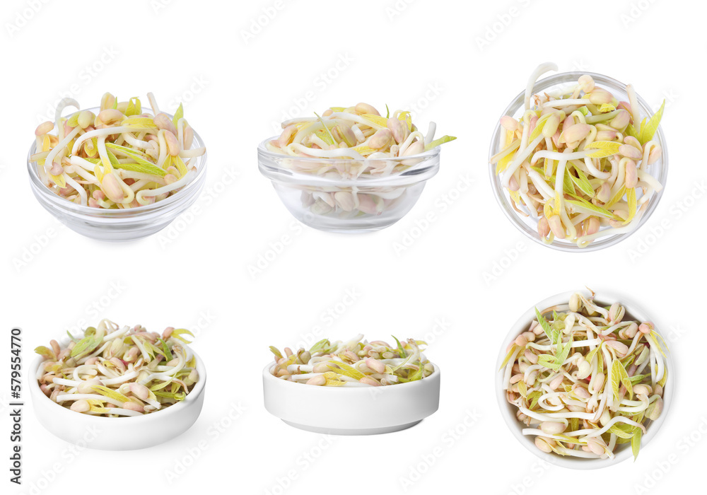 Many mung bean sprouts in bowls on white background, different sides Many mung bean sprouts in bowls on white background, different sides