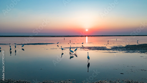 Migratory birds on the lake at sunset © snvv
