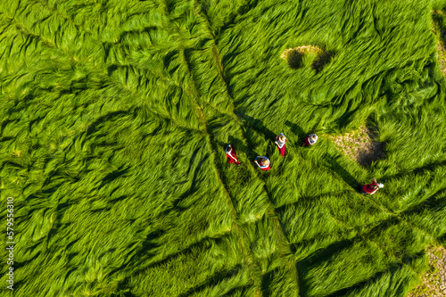 Aerial photography of Poyang Lake wetland landform in Jiangxi, China