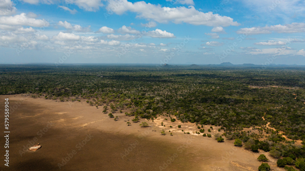 Aerial drone of Jungle and rainforest in the Kumana National Park. Sri Lanka. Aerial drone of Jungle and rainforest in the Kumana National Park. Sri Lanka.