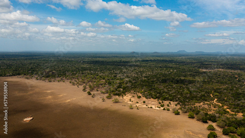 Aerial drone of Jungle and rainforest in the Kumana National Park. Sri Lanka.