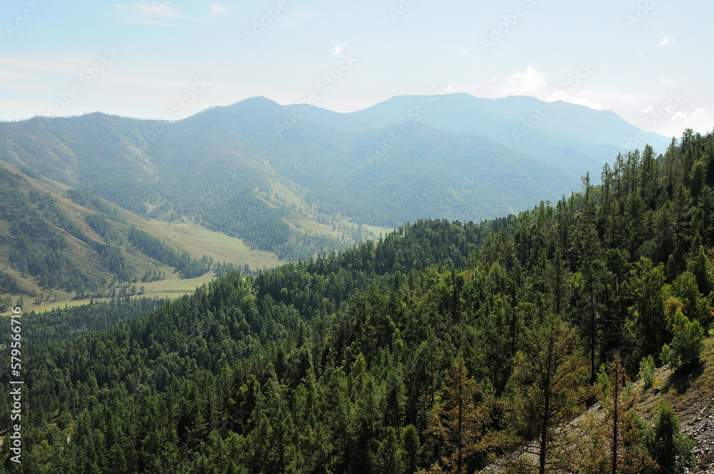 The slope of a high mountain overgrown with dense coniferous forest overlooking a picturesque valley in the rays of the setting autumn sun.