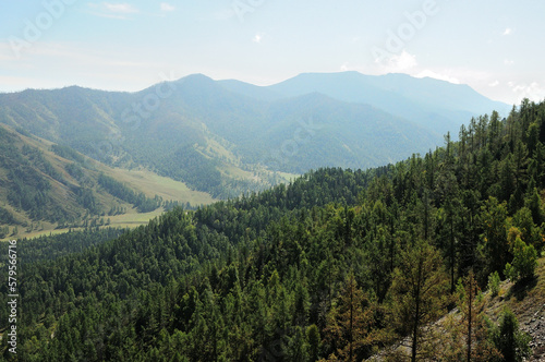 The slope of a high mountain overgrown with dense coniferous forest overlooking a picturesque valley in the rays of the setting autumn sun.