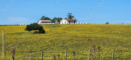 landscape with church in the field