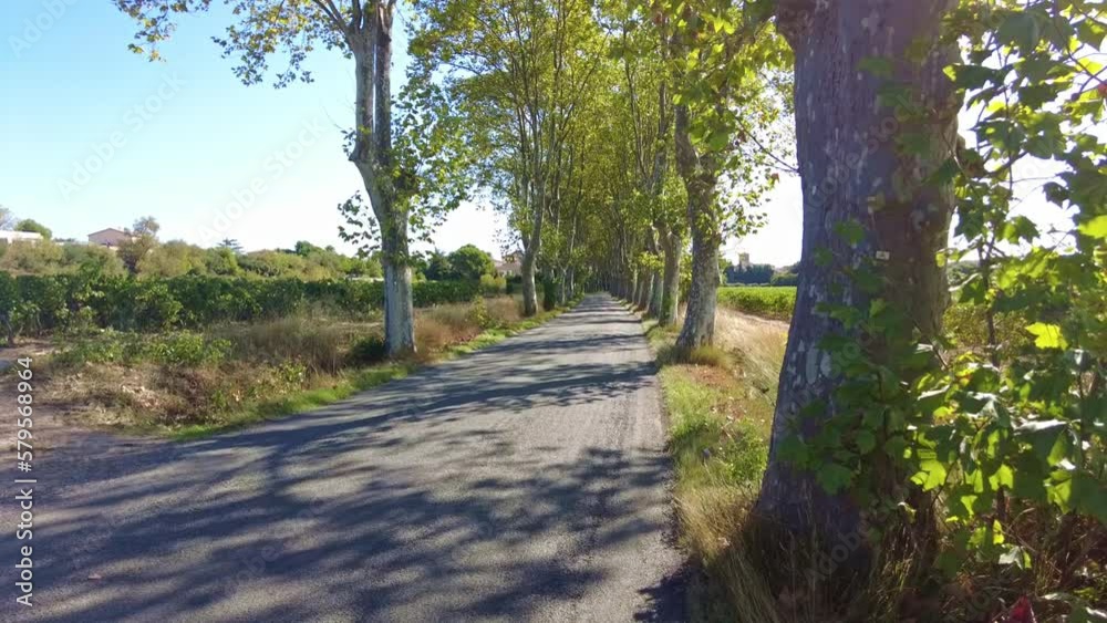 rural countryside road in France early morning rural countryside road in France early morning