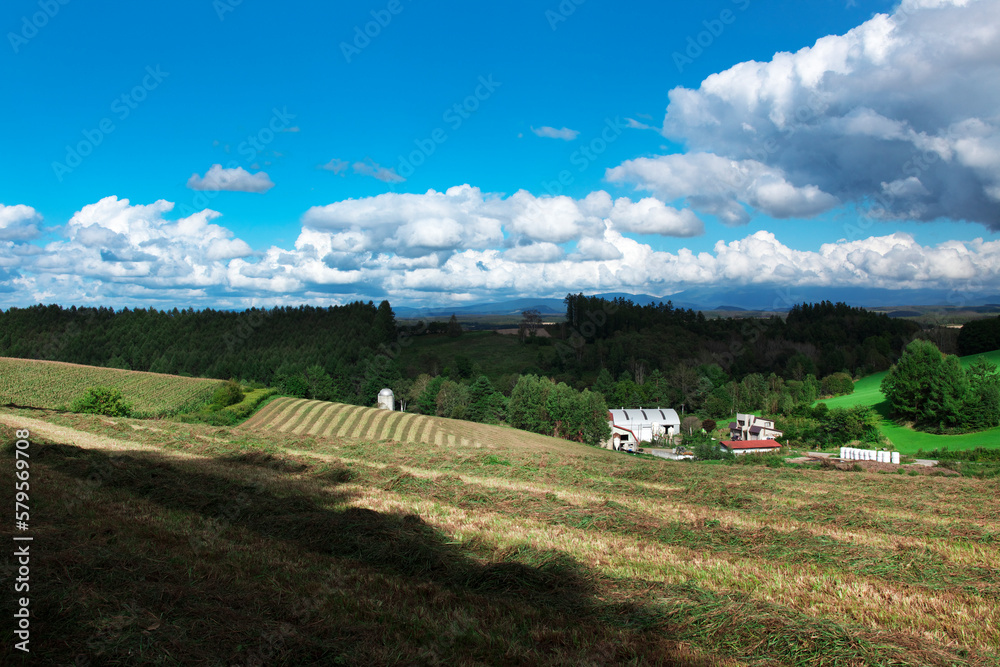 Obraz premium 美瑛町