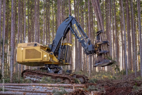 Logging Equipment Feller Buncher Forestry Machine