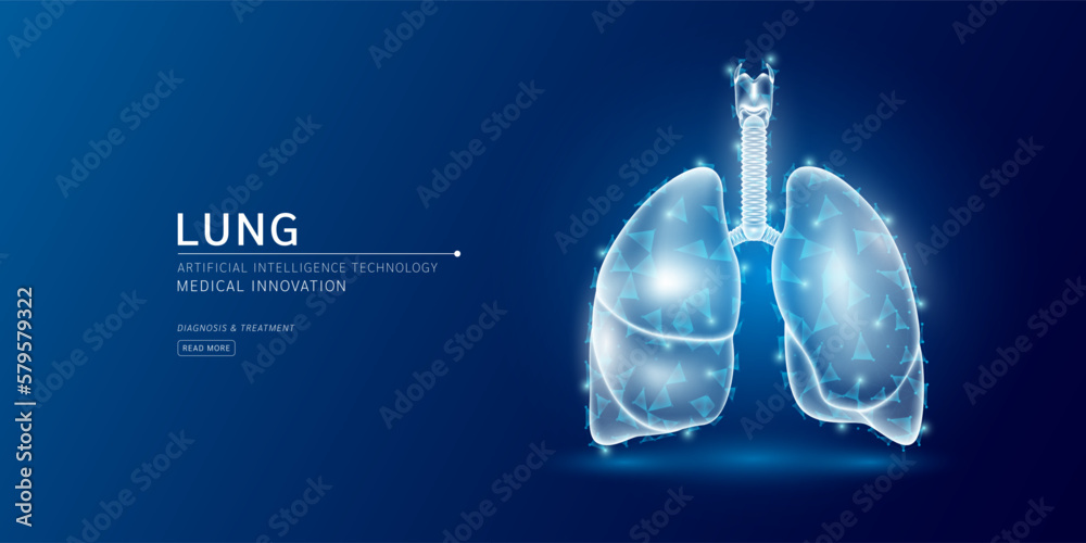 Website template. Human lung anatomy translucent low poly triangles ...