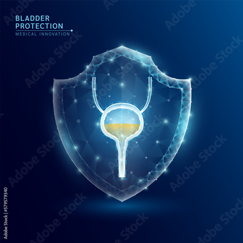 Human bladder anatomy organ translucent low poly triangle inside shield futuristic glowing. On dark blue background. Immunity protection medical innovation concept. Vector EPS10.