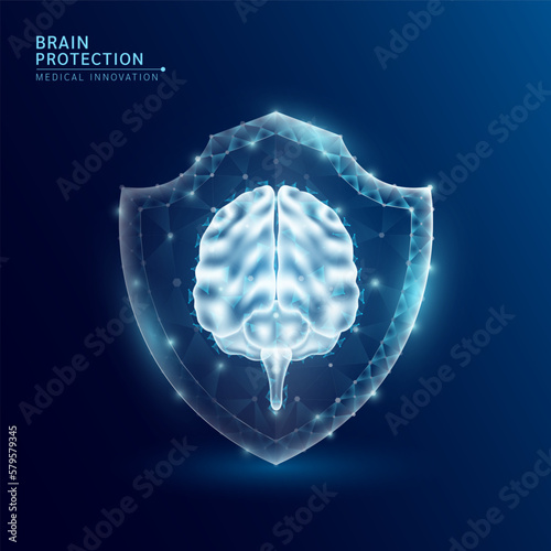Human brain anatomy organ translucent low poly triangle inside shield futuristic glowing. On dark blue background. Immunity protection medical innovation concept. Vector EPS10.