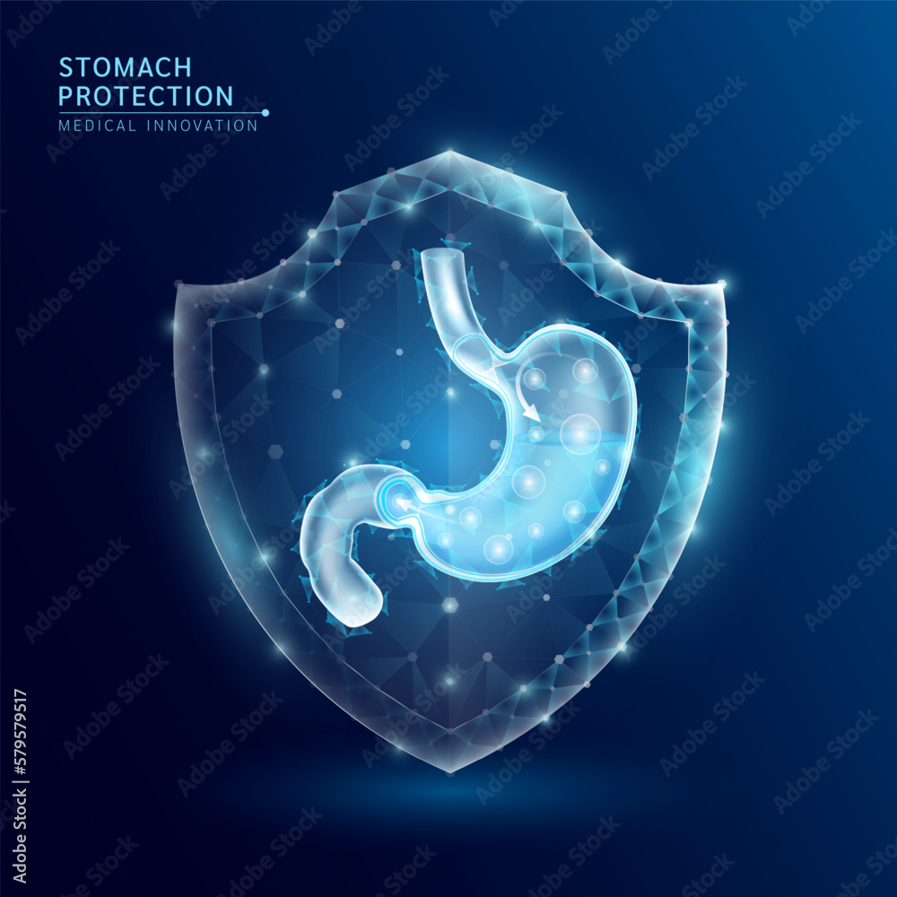 Human stomach anatomy organ translucent low poly triangle inside shield futuristic glowing. On dark blue background. Immunity protection medical innovation concept. Vector EPS10. Human stomach anatomy organ translucent low poly triangle inside shield futuristic glowing. On dark blue background. Immunity protection medical innovation concept. Vector EPS10.