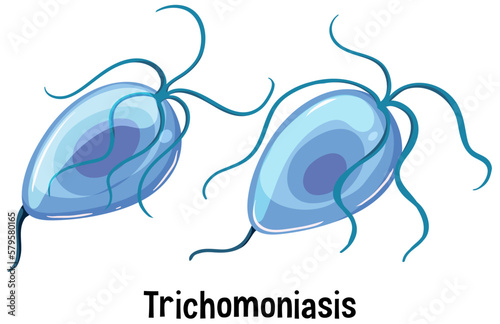 Trichomonas vaginalis with text photo
