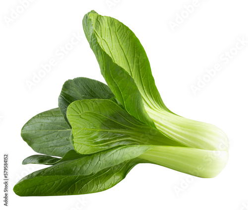 Cuadro en lienzo Young organic white bok choy or bak choi Chinese cabbage isolated on a transpare