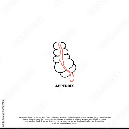 The human appendix is an anatomical icon of a line in a vector, an illustration of an internal organ.