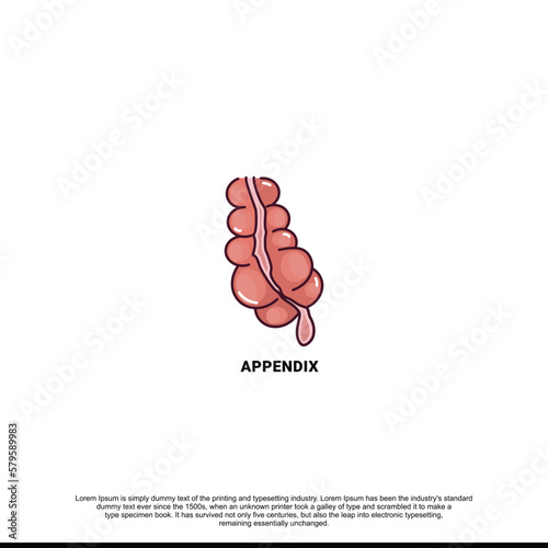 The human appendix is an anatomical icon of a line in a vector, an illustration of an internal organ.