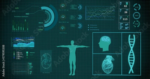 Human anatomy  research and full analysis with data futuristic laboratory  interface and a hologram monitor.Hi-tech healthcare concept