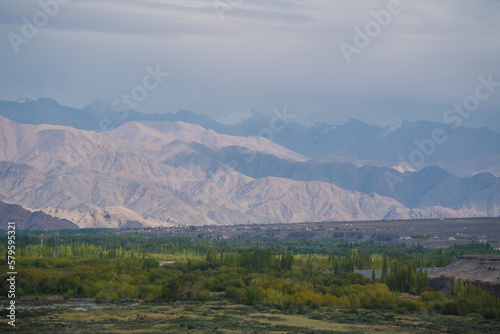 Beautiful landscape with greenery in a village, the background is surrounded by mountains at Leh town, Ladakh, in the Indian Himalayas. © Nhan
