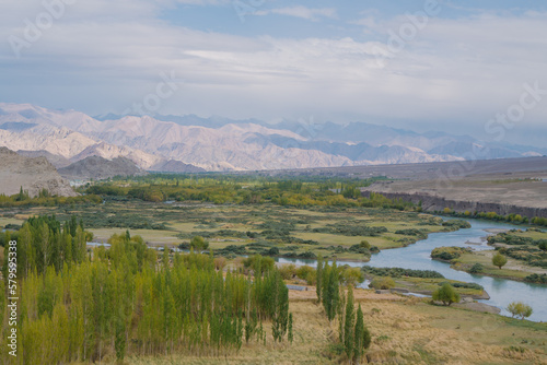 Beautiful landscape with greenery in a village, the background is surrounded by mountains at Leh town, Ladakh, in the Indian Himalayas. © Nhan