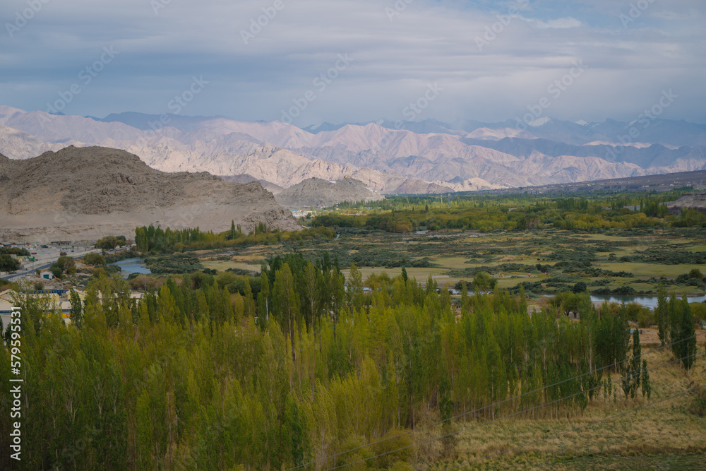 Beautiful landscape with greenery in a village, the background is surrounded by mountains at Leh town, Ladakh, in the Indian Himalayas. Beautiful landscape with greenery in a village, the background is surrounded by mountains at Leh town, Ladakh, in the Indian Himalayas.