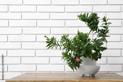 Potted houseplant on table near white brick wall © Pixel-Shot