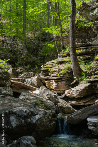 Obraz na płótnie stream in the forest w salonie