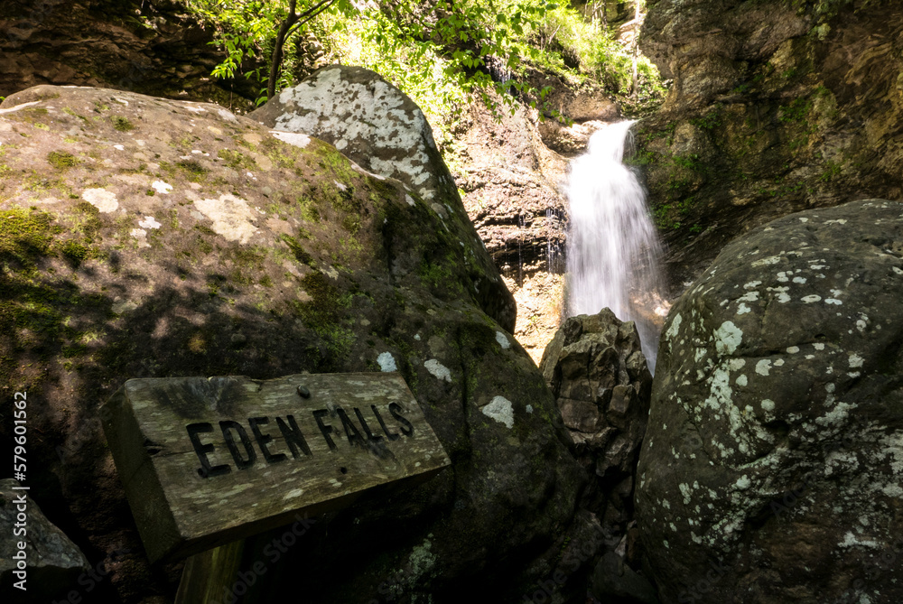 waterfall in the forest