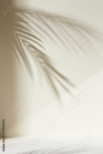 Monotone background wall with tree leaf shadows