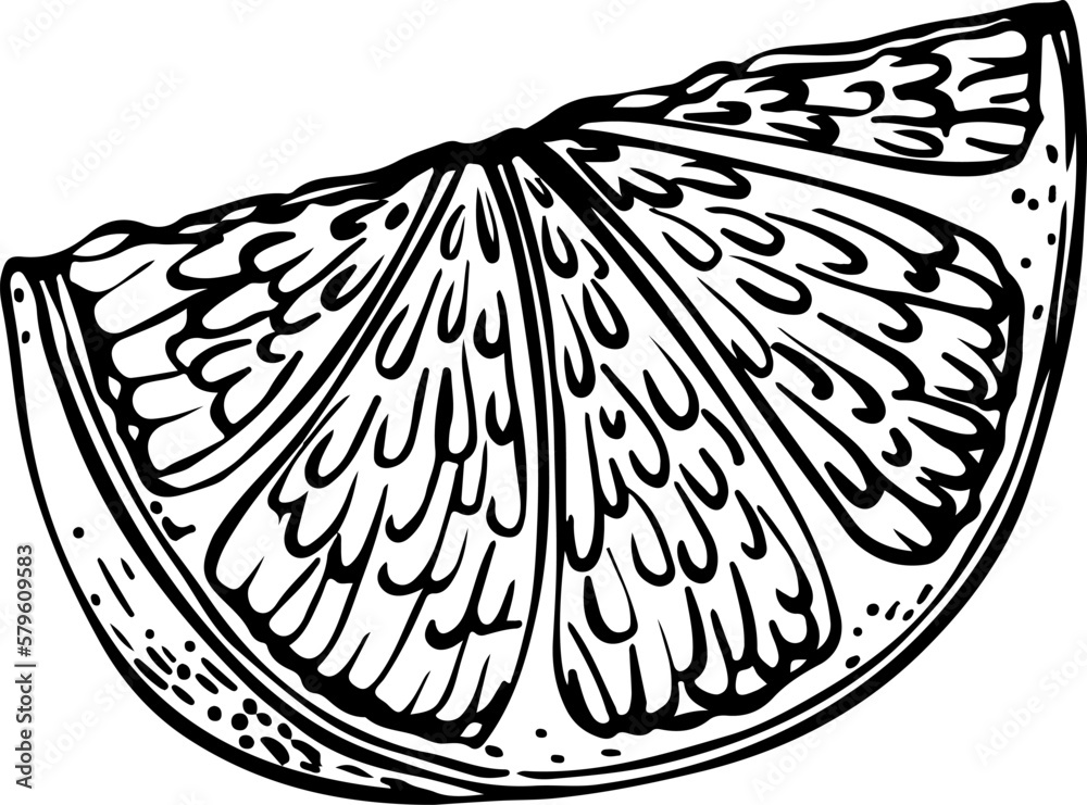 Hand drawn lineart single lemon slice isolated on white background Hand drawn lineart single lemon slice isolated on white background