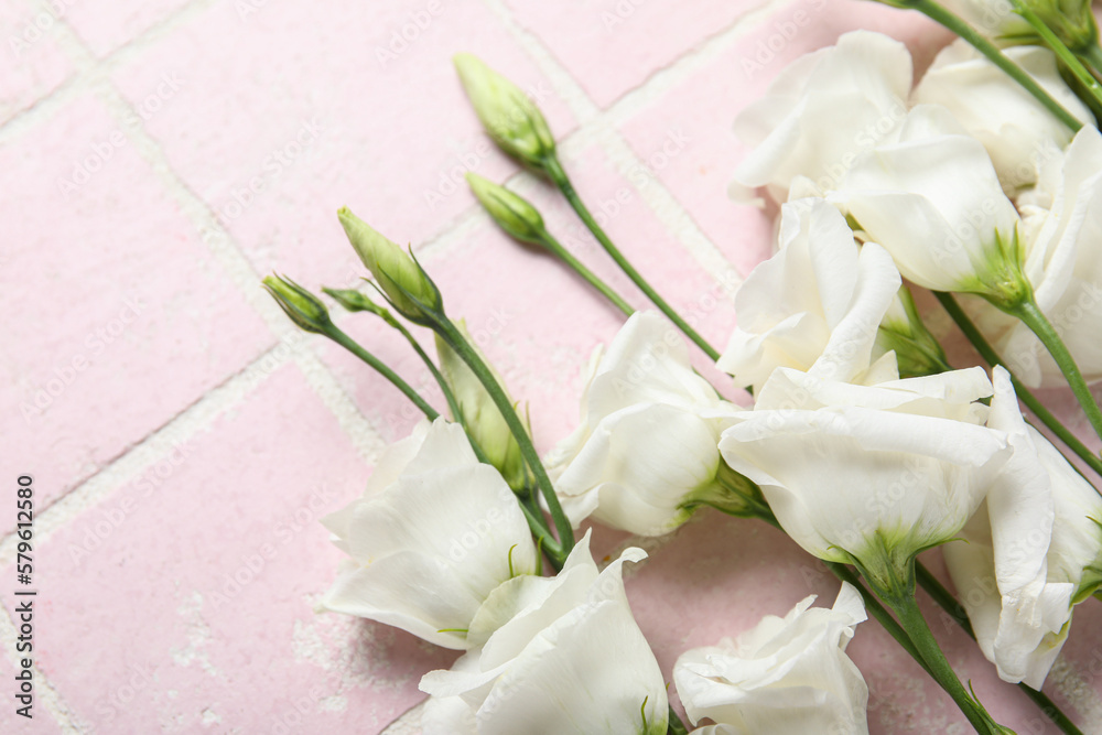 Obraz premium White eustoma flowers on color tile background, closeup