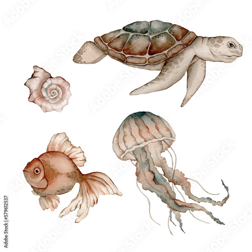 Set of sea animals poster. Blue, greeen, brown watercolor ocean jellyfish, medusa, fish aquarium, shell. Nautical wildlife marine illustration photo