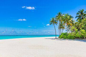 Beautiful amazing beach. Tropical shore background as summer landscape, white sand calm sea sky banner. Tranquil beach scene vacation and summer holiday concept. Dream sunny panoramic nature paradise