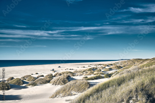 Canvastavla White beach in Denmark. High quality photo