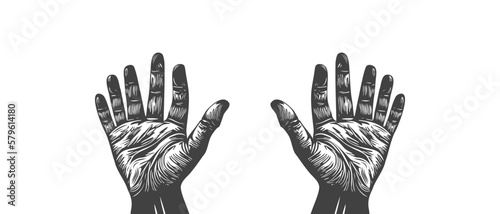 Vector monochrome wrinkled palms with six fingers raised up on a white isolated background.