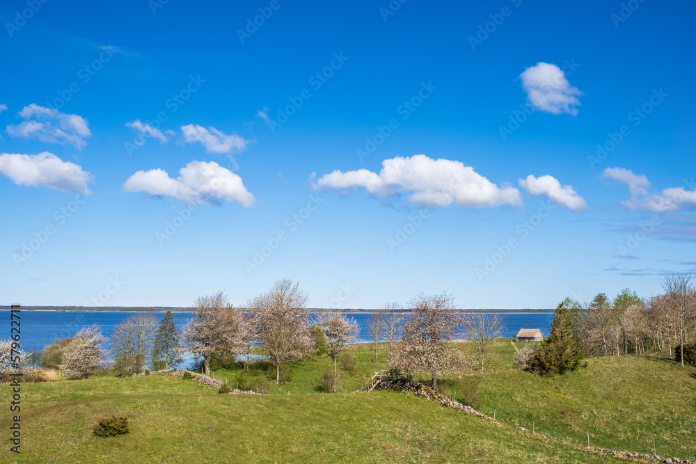 View at a lake with flowering fruit trees on a meadow
